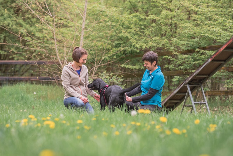 Christin Gotzen I Dein Hundetrainer-Coach